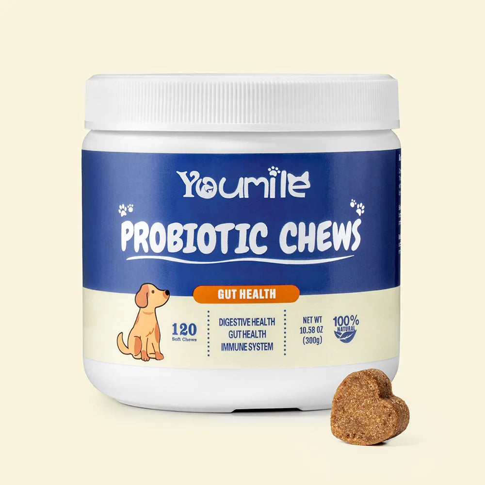 Close-up of HappyGut probiotic soft chews for dogs spilling from a resealable pouch on a kitchen counter