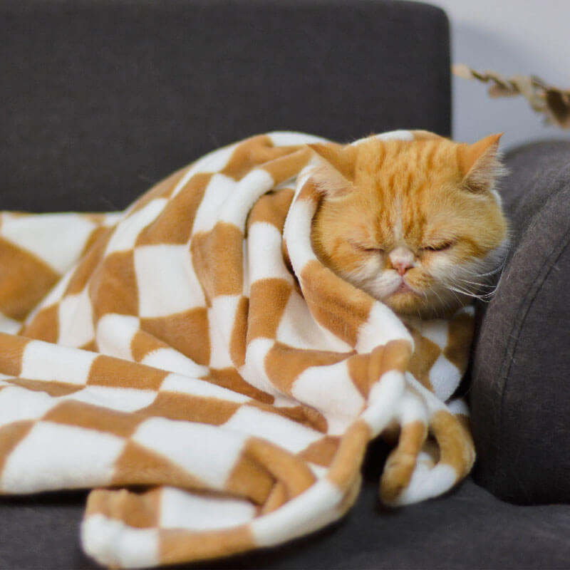 A dog comfortably napping on a CozyHaven chequered pet blanket spread out on a wooden floor, showing its soft texture and classic pattern.