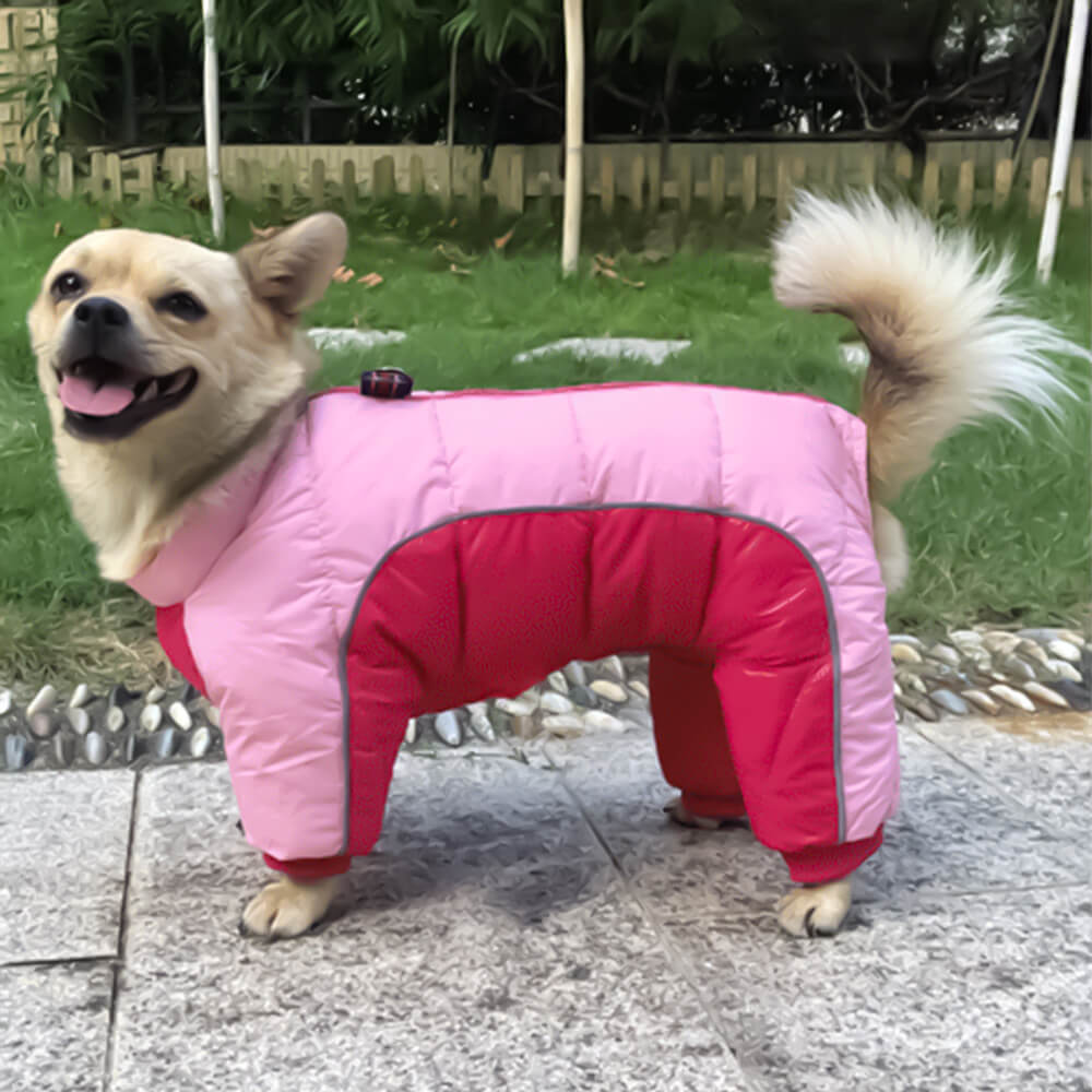 Close-up of dog coat with built-in harness ring and reflective strips