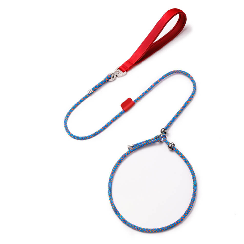 Dog training leash with padded handle in vibrant color, perfect for large dogs