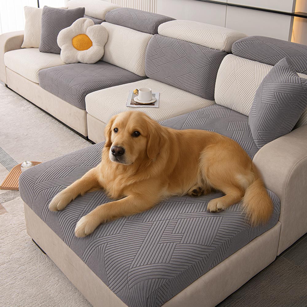 Modern jacquard stretch couch cover fitted on a gray sofa with a cat lounging