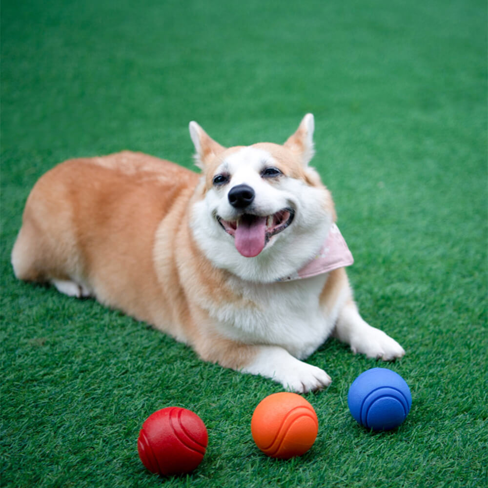 SplashBuddy Floating Squeaky Dog Ball in water, showcasing its floating design
