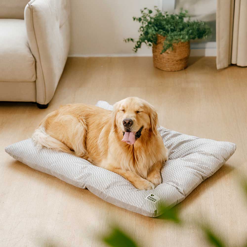 CozyCalm Reversible Plush Dog Mat in use with dog relaxing on it