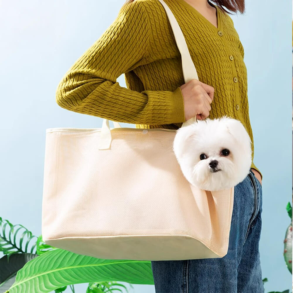 BreezyPaws Mesh Pet Carrier - front view with a cat inside
