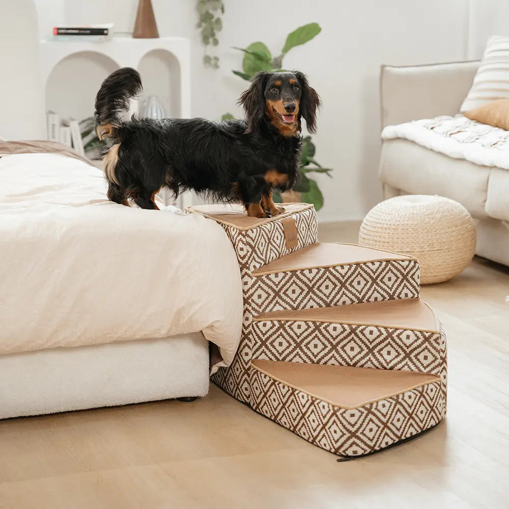 StepEase Boho Pet Stairs in living room, showcasing stylish design and anti-slip features.