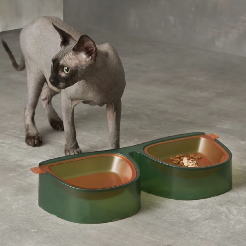 Overhead view of the ZenithFeast stainless steel double pet bowl with a clear divider, showcasing its dual compartments ready for dry and wet food.