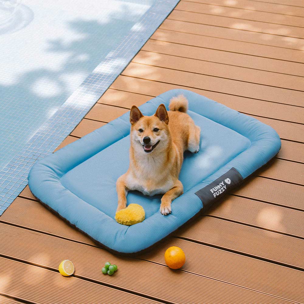 Chew-proof waterproof dog bed with memory foam, shown on a patio.