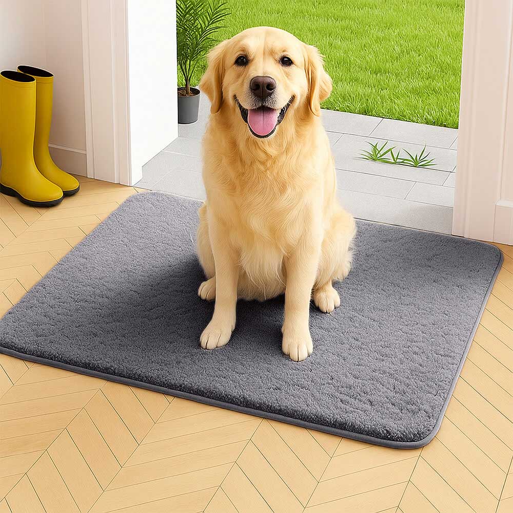 Ultra-absorbent pet door mat in use at a home entryway, capturing muddy paw prints