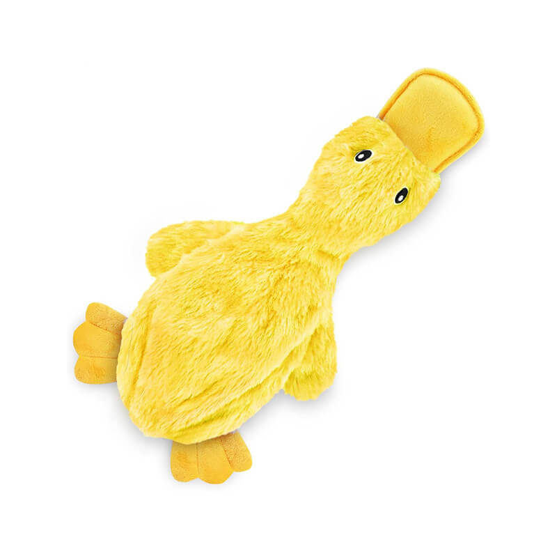 Yellow squeaky duck dog toy held by a golden retriever