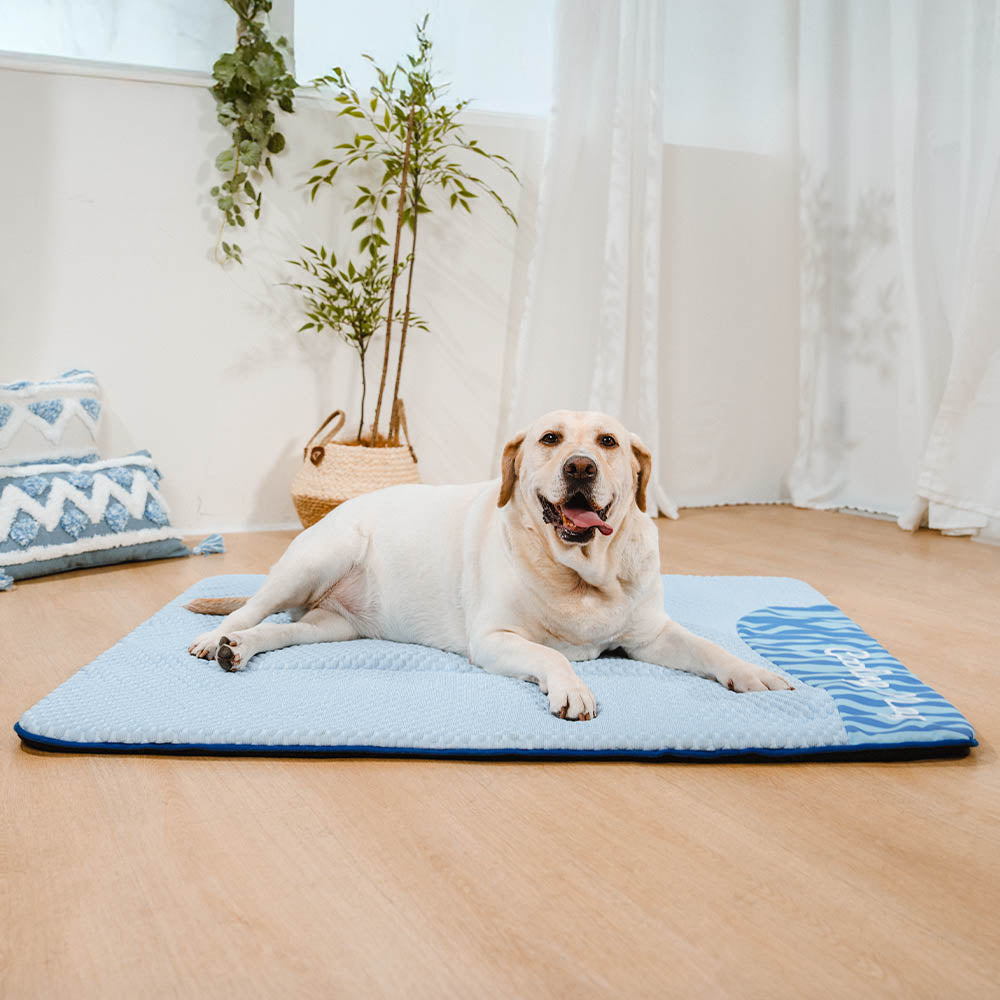 PawCool Large Cooling Dog Mat - dog lying on mat, cooling surface