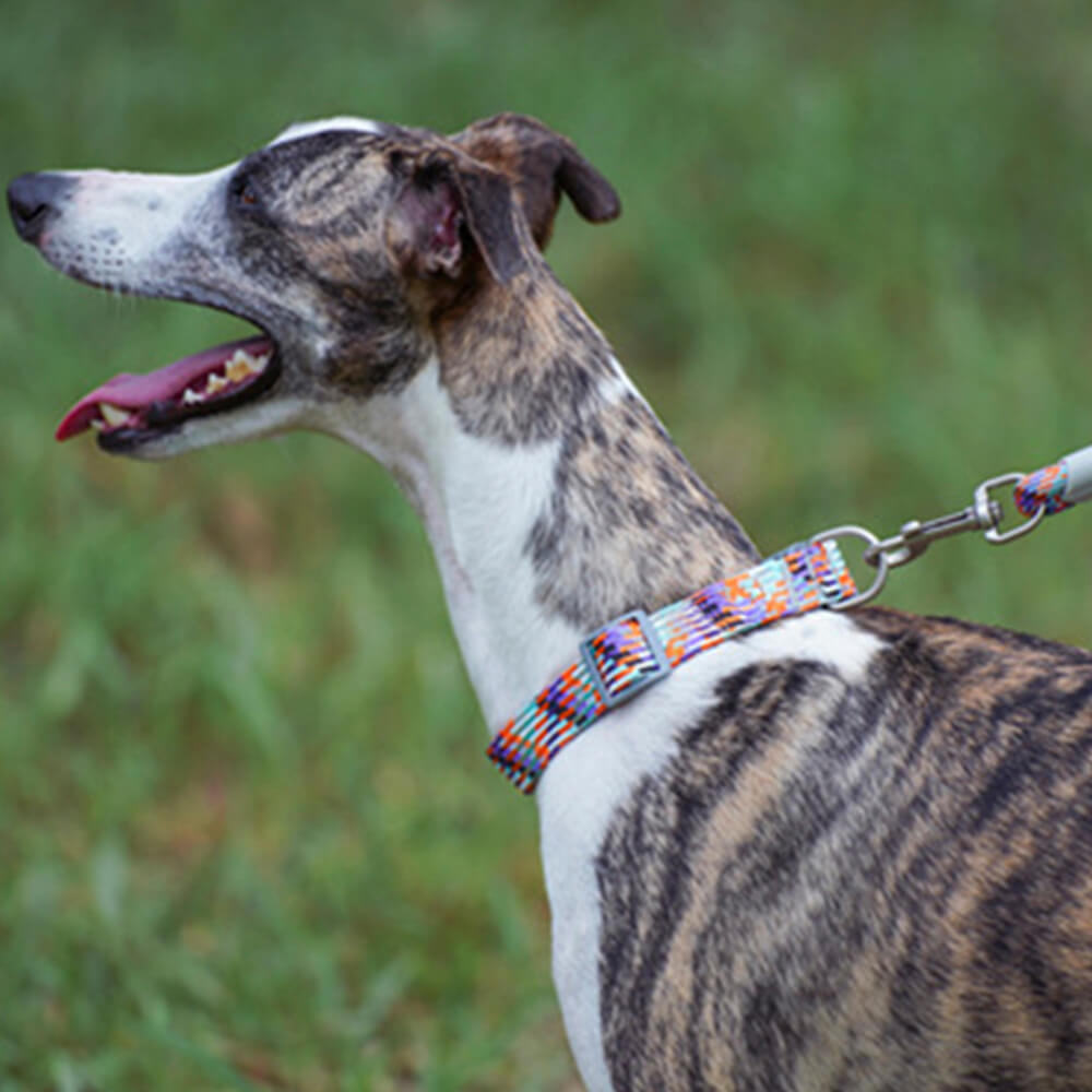 Close-up of the reflective stitching on the nylon dog leash.