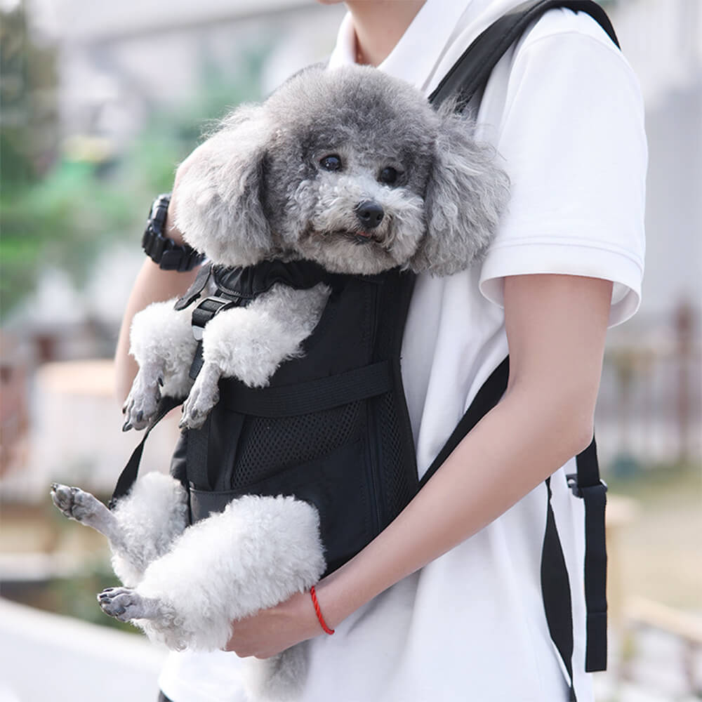 Front view of Pawmate Ergoflex front dog carrier worn during a city walk