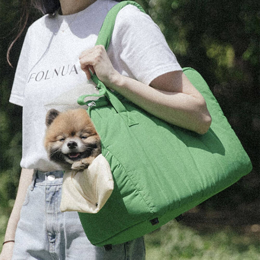 Lightweight nylon pet carrier for travel with mesh panels and cushioned interior.
