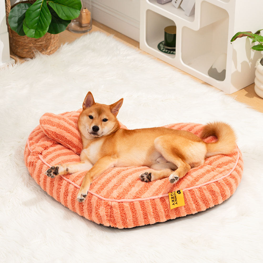 Close-up of plush dog and cat bed with pillow showing soft fabric and cozy interior