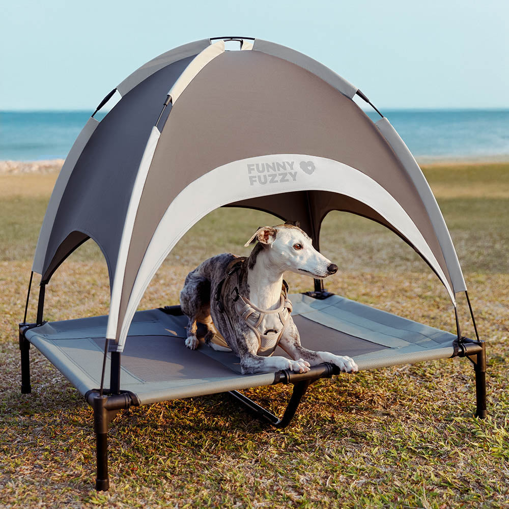 PawAir UltraCool elevated dog bed with canopy in backyard setting