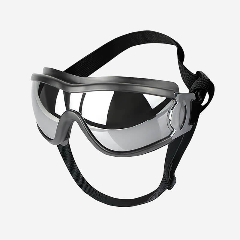 Dog wearing TrailShield XL goggles on a rocky hiking trail – protective gear for eyes