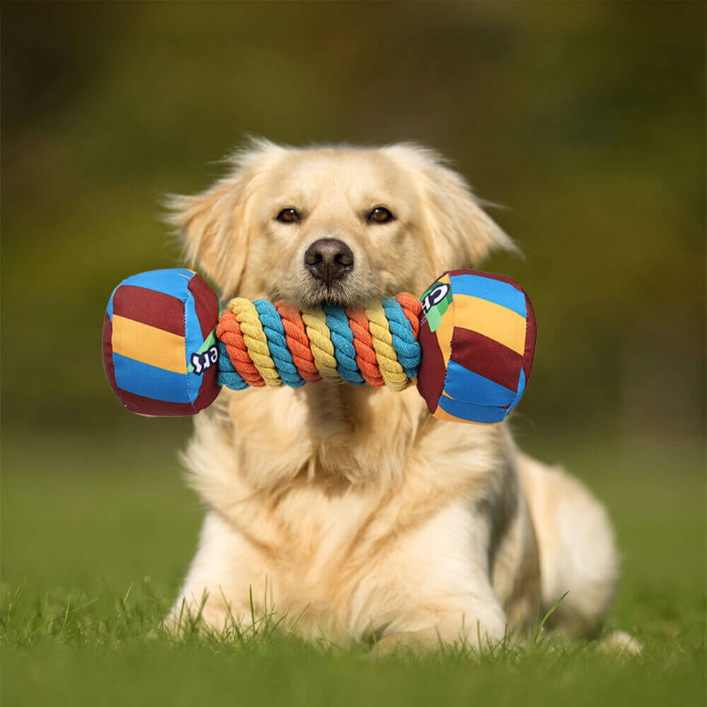 Close-up of BounceBright dumbbell toy showing colorful cotton rope and textured ends
