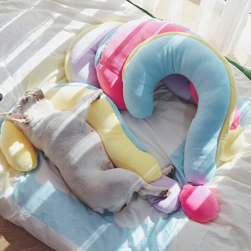 Orthopedic support pillow supporting a sleeping elderly dog in bright colors