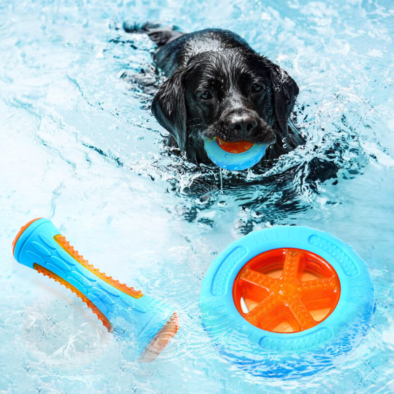 Floating dog chew toy floating on water during outdoor water play