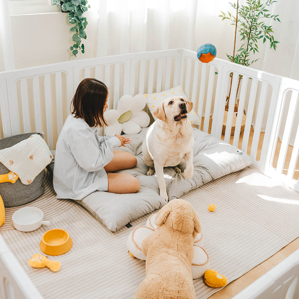 Serenity Plush Dog Bed - Reversible Calming Mat for anxious dogs, soft plush side