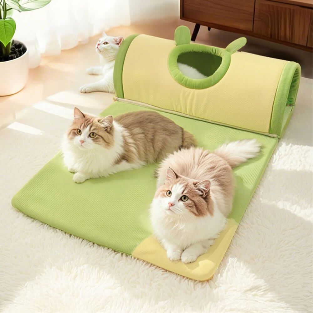 Cozy cat tunnel bed with scratch-resistant material, showing the dual-purpose design.