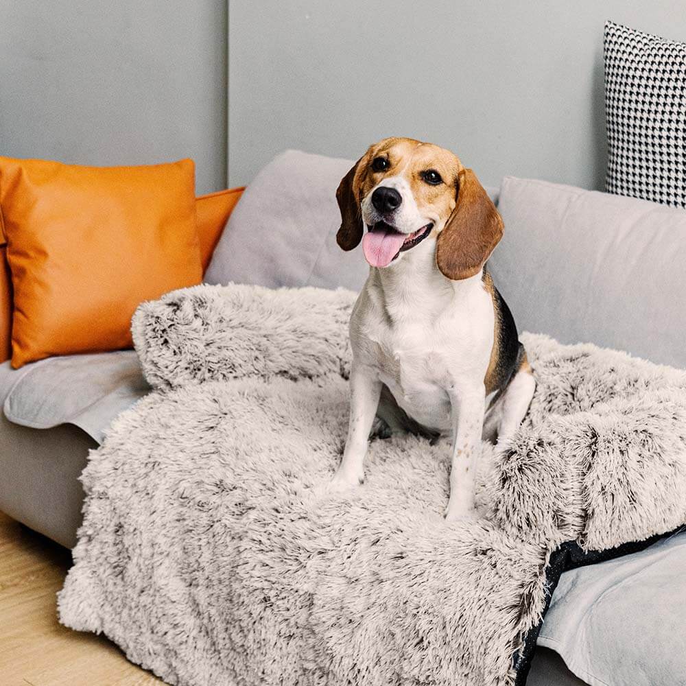 CozyPaws Faux Fur Dog Bed in S size, perfect for small dogs