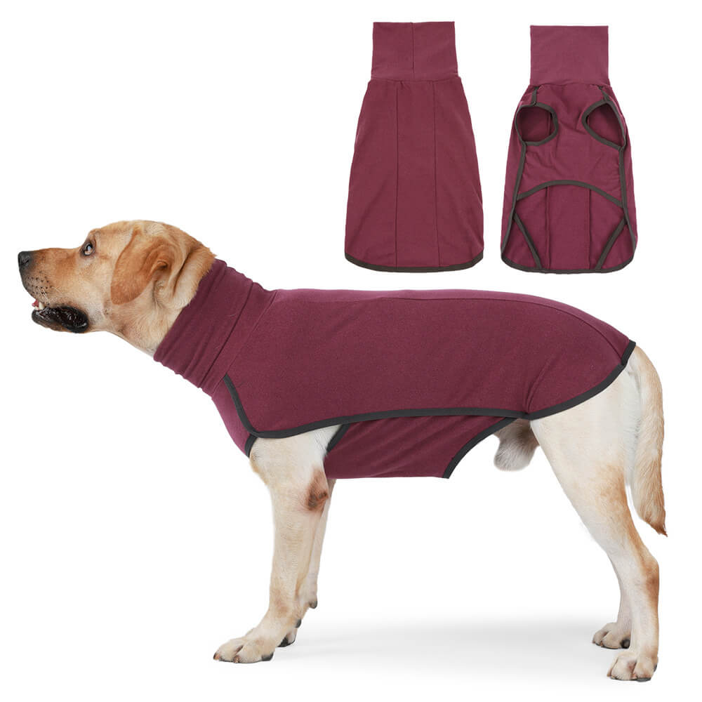 PawShield waterproof dog jacket on a large breed dog during a rainy walk