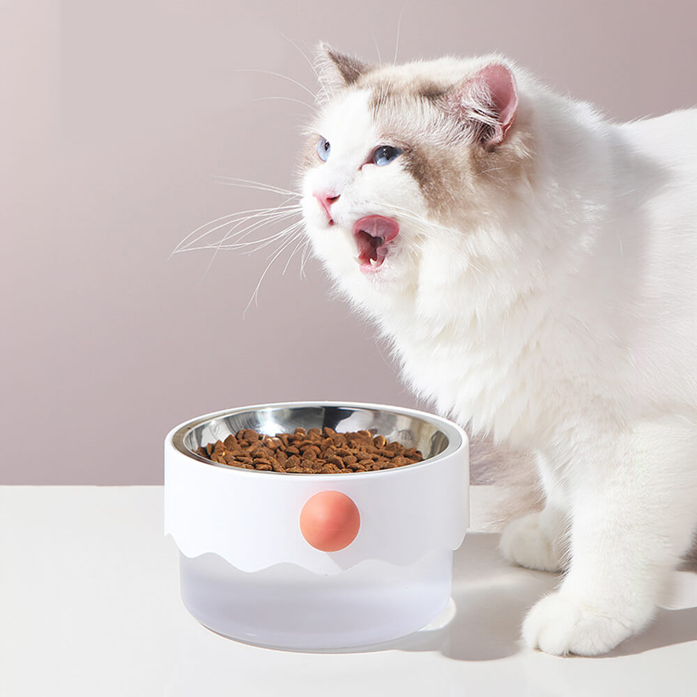 Removable double-layer dog bowl shown in home setting with dog eating
