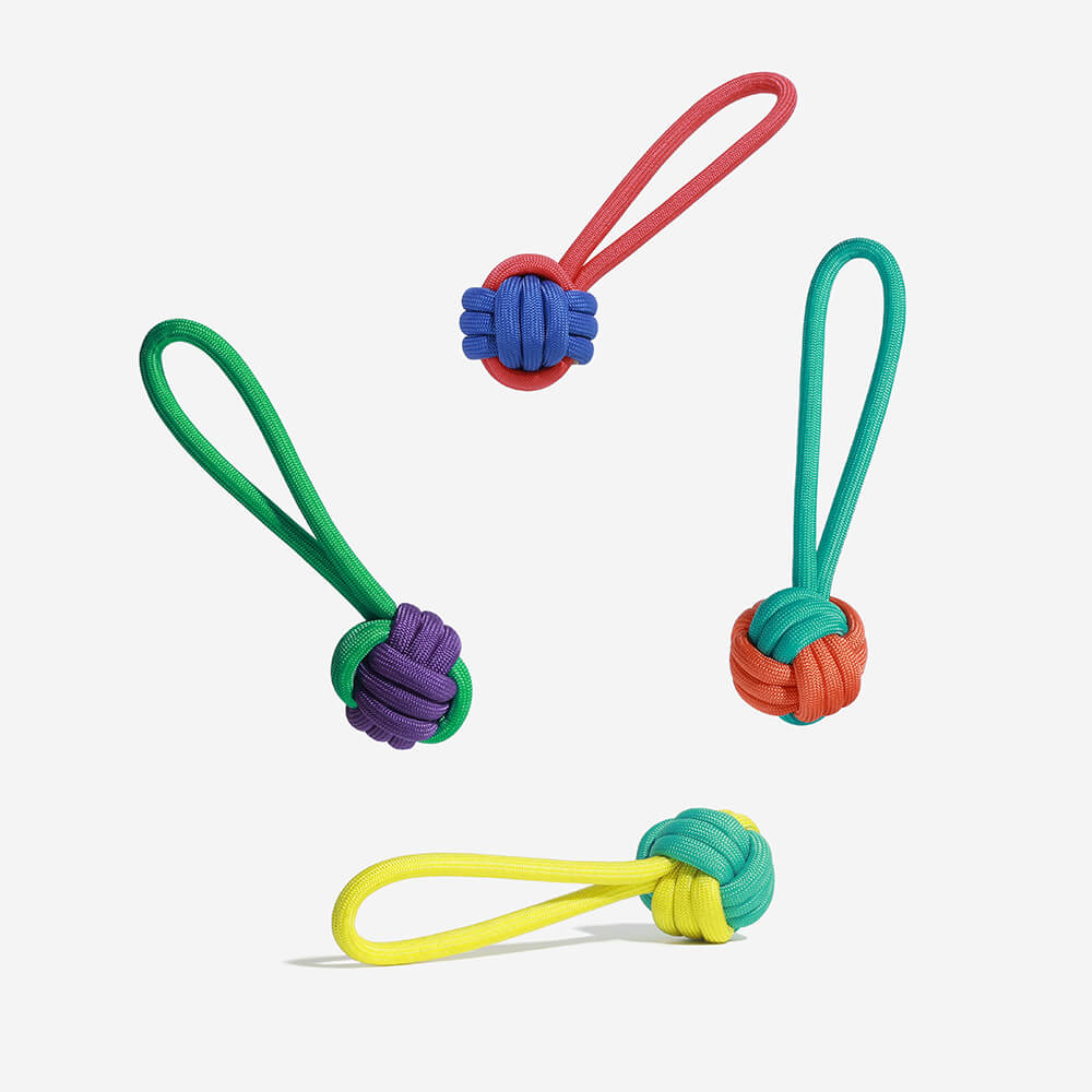 Color Clash Rope Toy for aggressive chewers in action