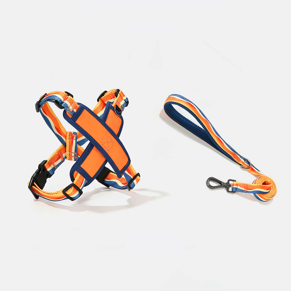 Medium-sized dog wearing our adjustable dog harness during a walk in park