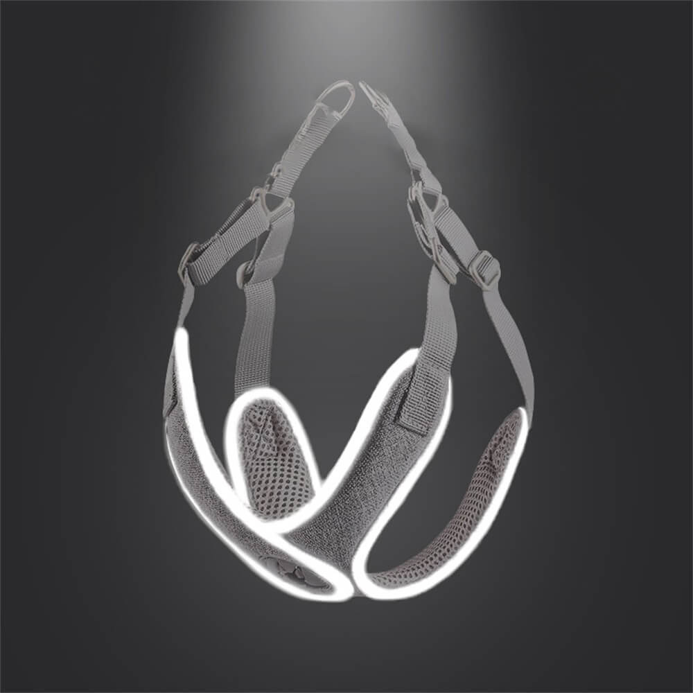 LuminaSafe Dog Harness & Leash Set - Reflective design for enhanced visibility