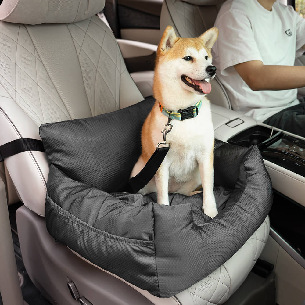 Top-down view of the bolster dog bed showing safety belt and cushioned edges in place.