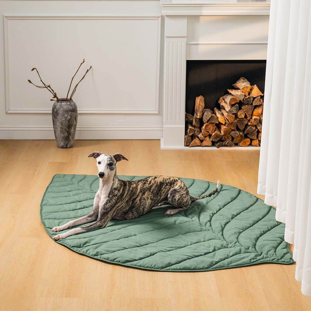 CozyLeaf Pet Blanket - large leaf-shaped dog bed for humans on the floor