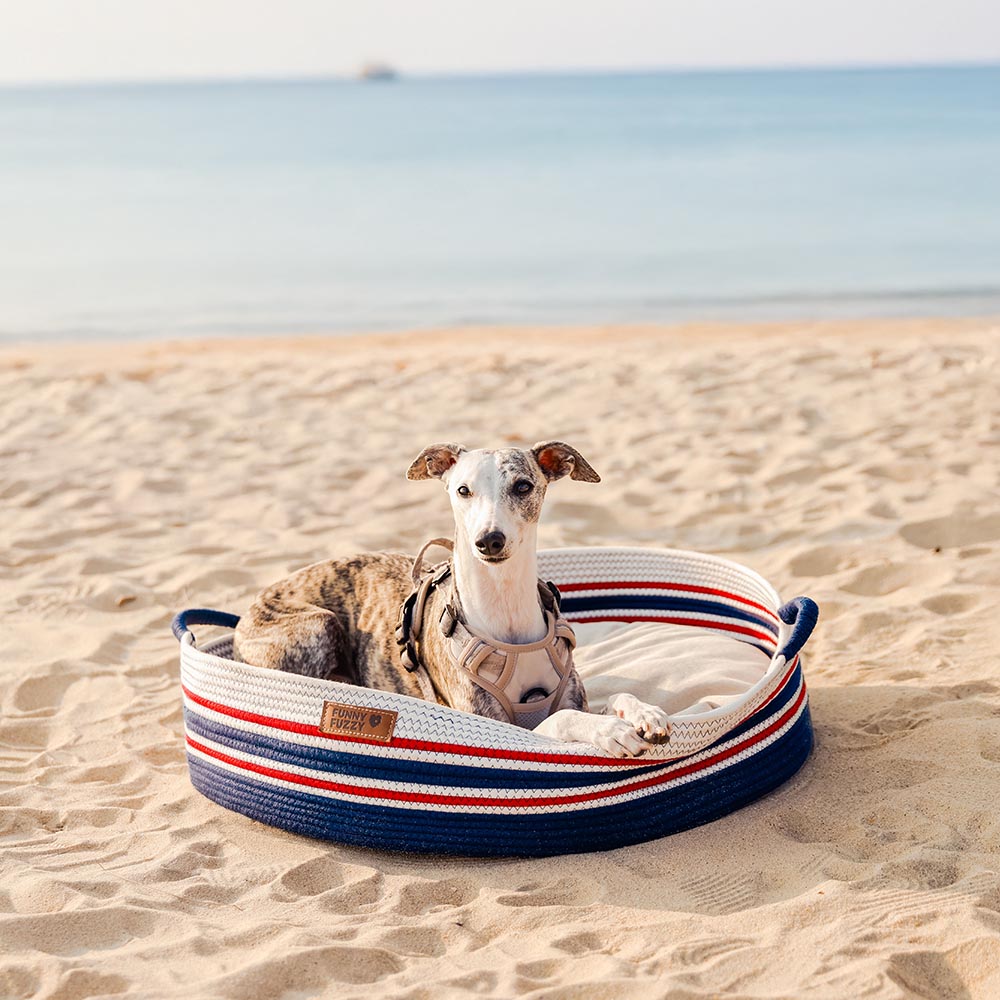 Artisan woven calming pet bed in a cozy living room setting, showcasing its stylish design.