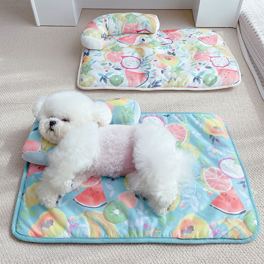Cooling ice silk pet mat featuring a vibrant fruit print, perfect for summer relaxation.