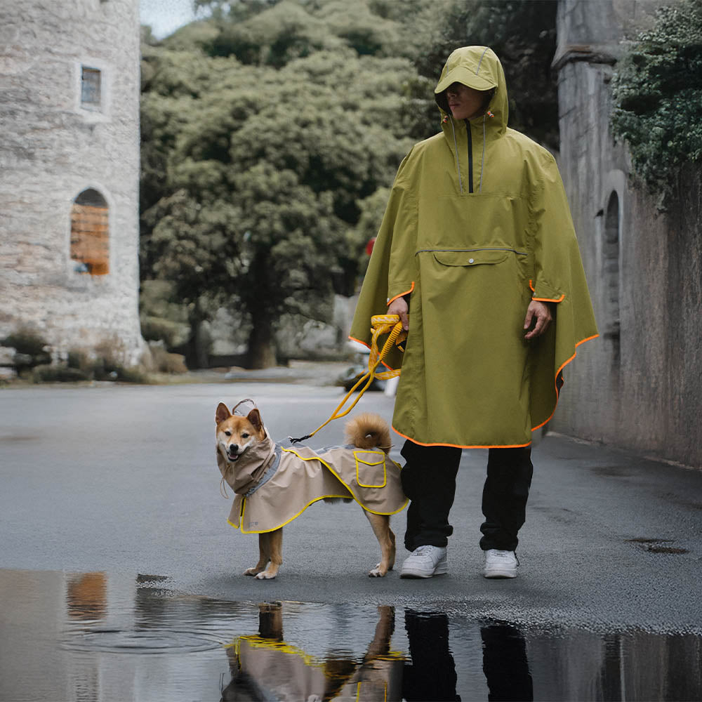 StormGuard Reflective Dog Raincoat on a Golden Retriever during a rainy walk